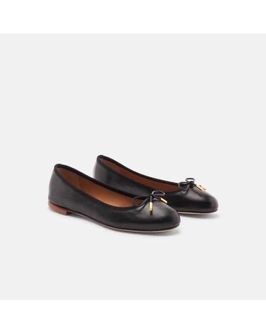 Scarosso Black Carla White Edit Ballerinas