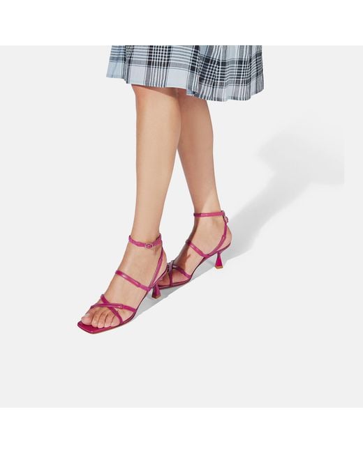 Scarosso Multicolor Sally Fuchsia Sandals