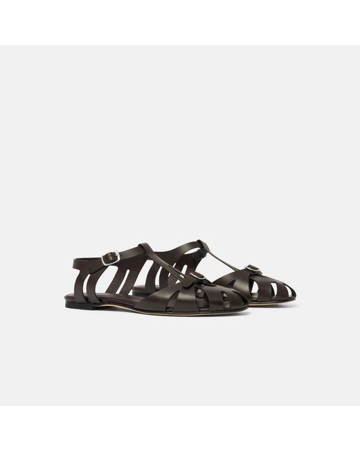 Scarosso Black Gala Dark