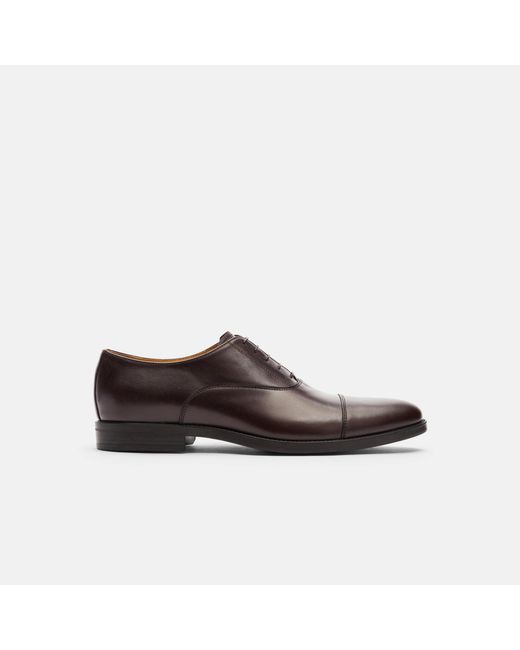 Scarosso Black Cesare Moro for men