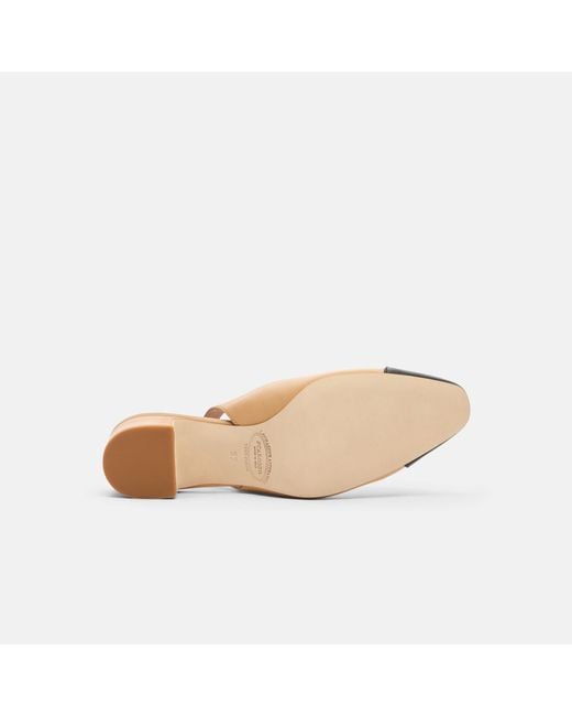 Scarosso Black Miranda Nude Edit Pumps