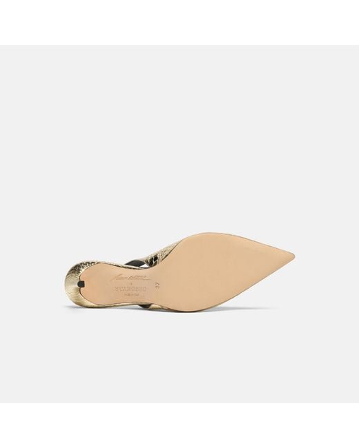Scarosso White Sutton Elaphe