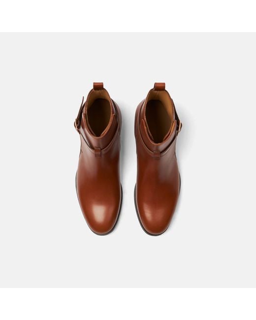 Scarosso Brown Lara Cognac Jodhpur Boots