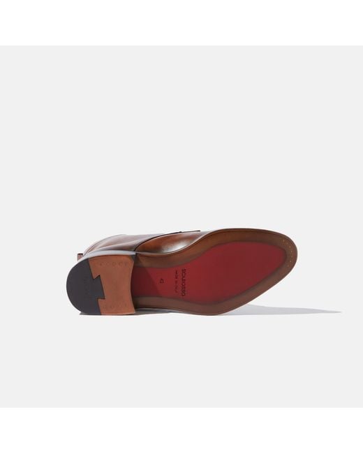 Scarosso Brown Totò Castagno for men