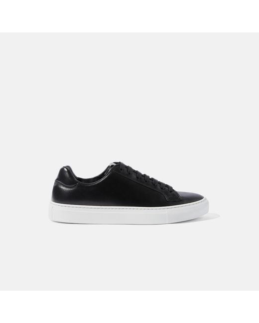 Scarosso Black Cecilia Nera Sneakers