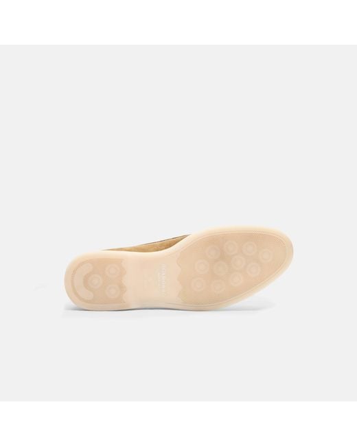 Scarosso Leandro Veloursleder in Natural für Herren