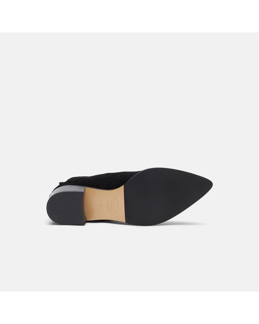 Scarosso Black Olivia Nera Scamosciata Chelsea Boots
