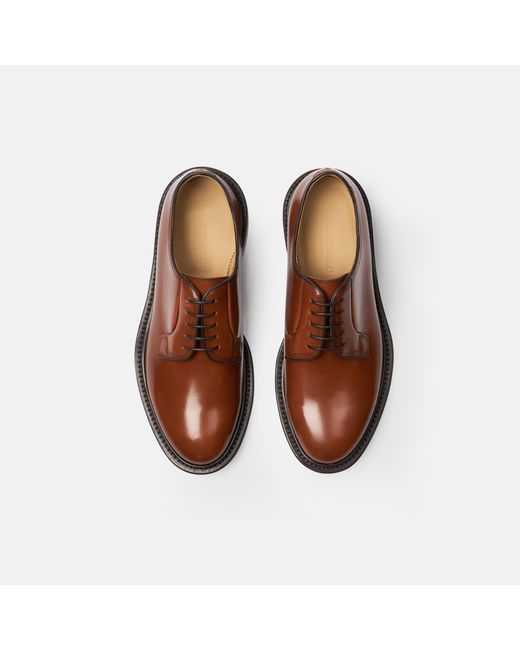 Scarosso Brown Harry Cognac Derbies for men