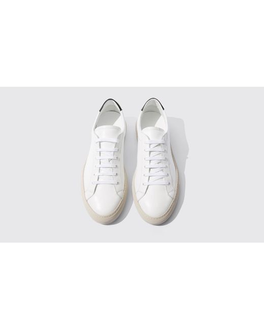 nike CORTEZ castagno nike CORTEZ castagno