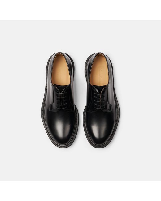 Scarosso Harry Black Derbies for men