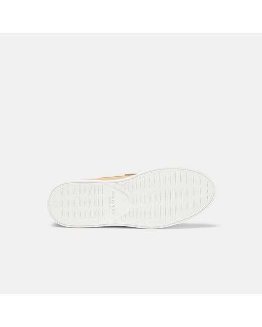 Scarosso Natural Coline Biscuit