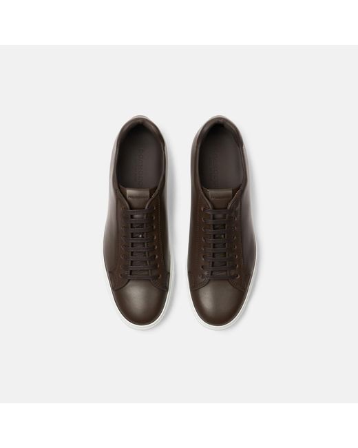 Scarosso Brown Ugo Dark for men