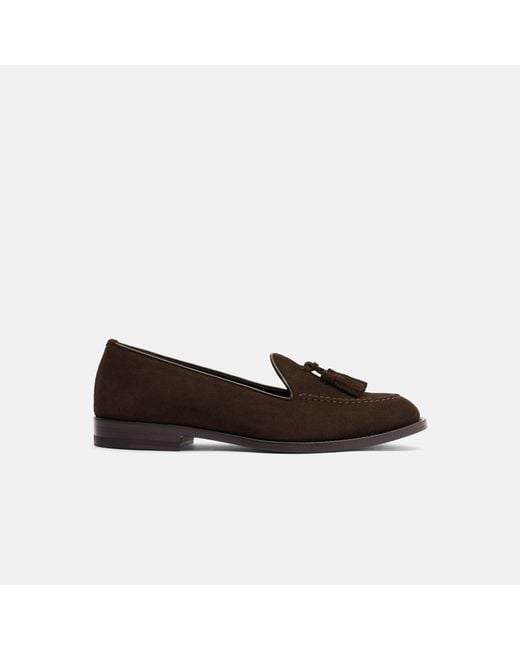 Scarosso Sienna Brown Suede Loafers