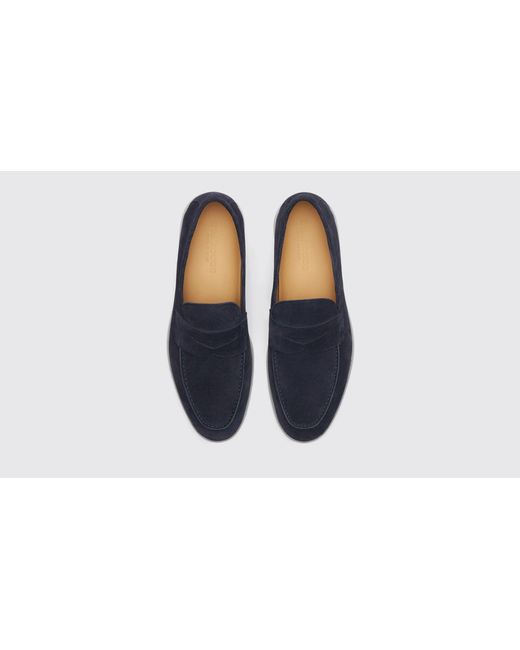 Scarosso Black Luciano Blue Suede Loafers for men