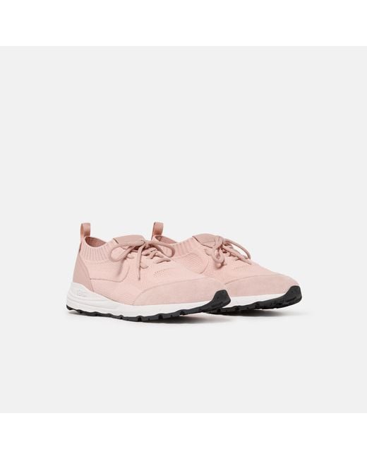 Scarosso Pink Robin