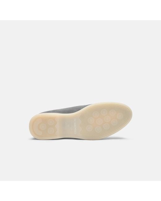 Scarosso Gray Leonardo Suede for men
