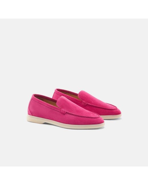 Scarosso Pink Ludovica Fucsia Scamosciata