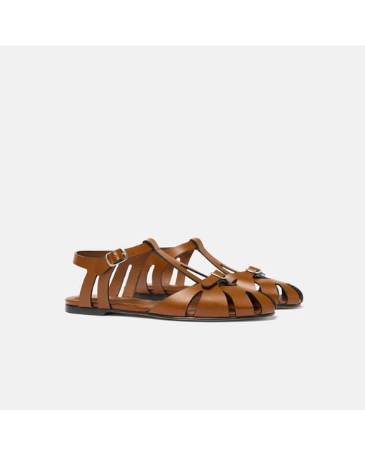 Scarosso Brown Gala Cuir