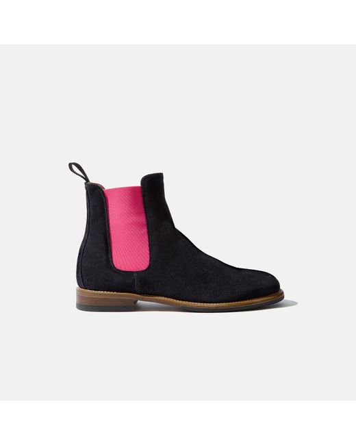 Scarosso Black Bruna Blu