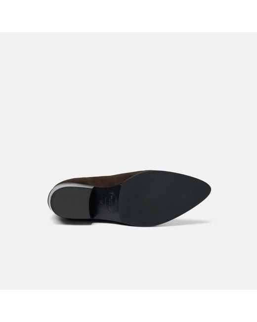 Scarosso Brown Olivia Suede