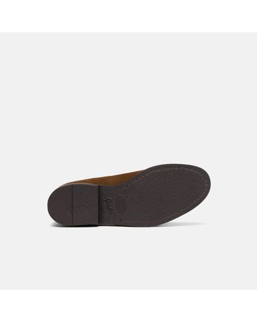 Scarosso Brown Edgar Suede for men