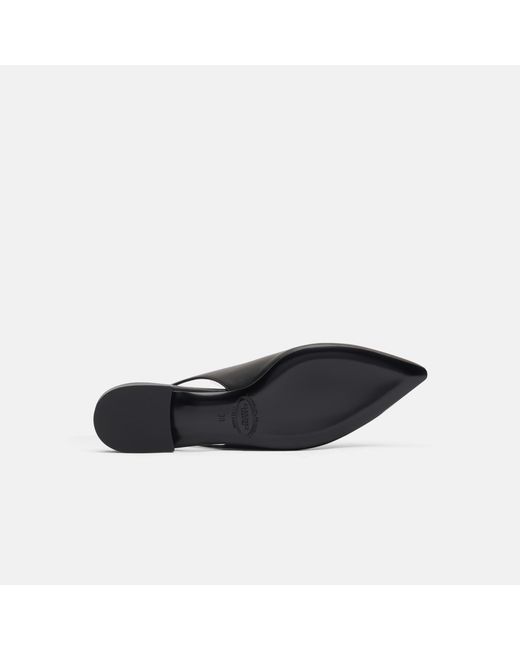 Scarosso Black Viviana Nera Ballerinas