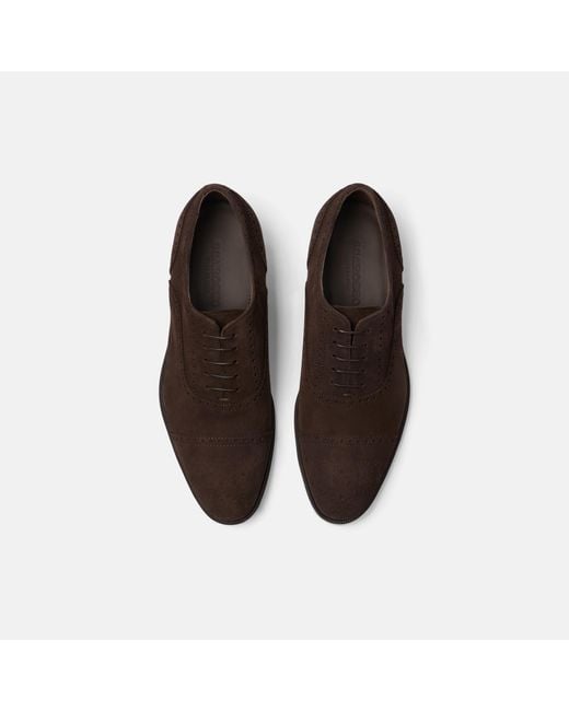 Scarosso Brown Roberto for men