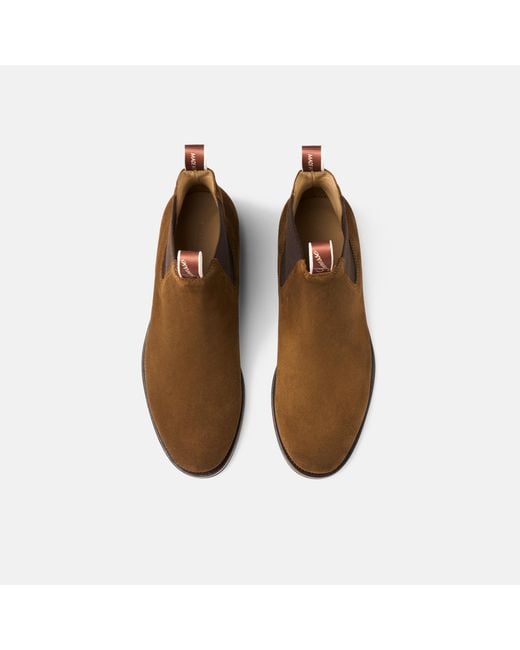 Scarosso Brown Edgar Suede for men