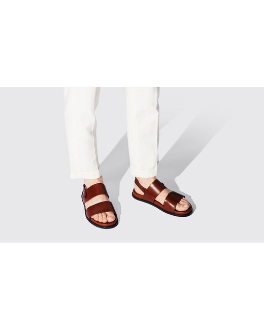 Scarosso Multicolor Antonio Cognac Sandals for men