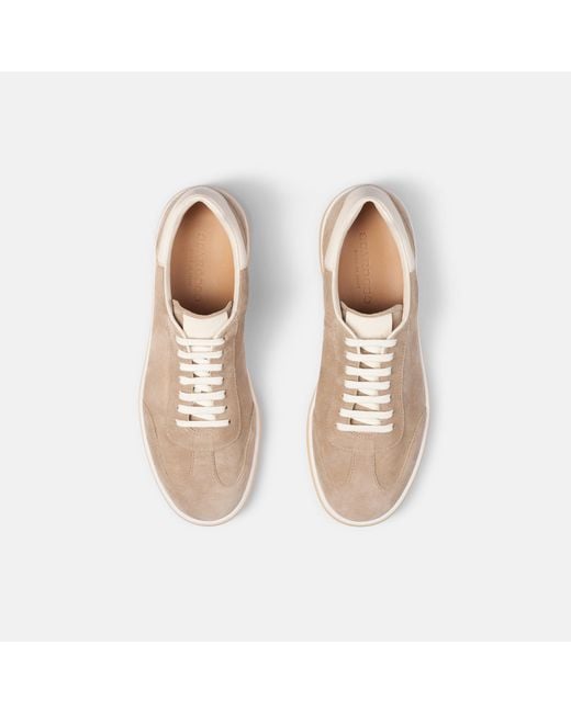 Scarosso Natural Mattia Taupe Suede for men