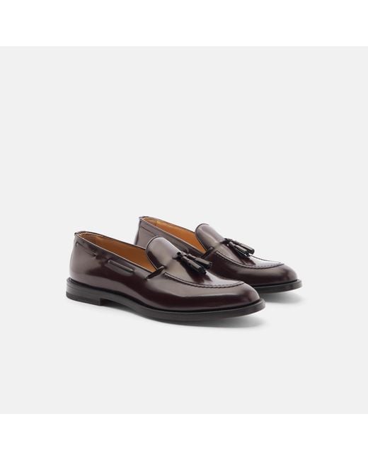 Scarosso Multicolor William Burgundy Bright Loafers for men