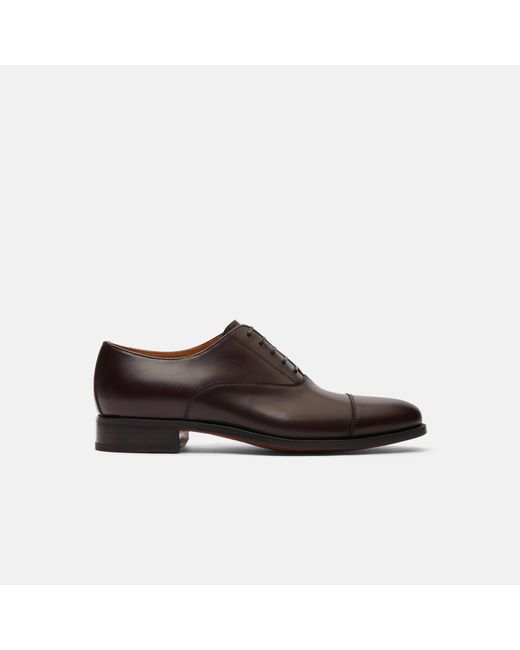 Scarosso Black Giove Marrone for men