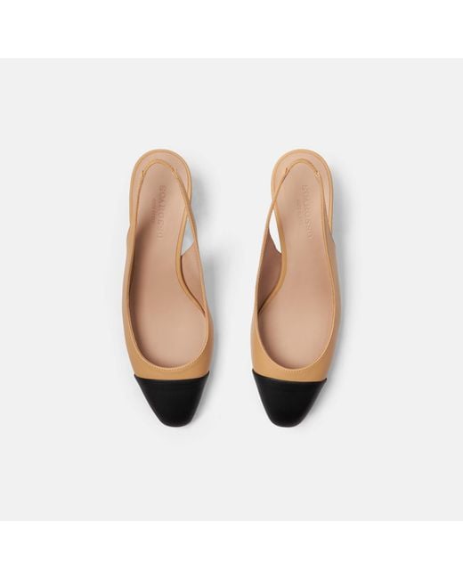 Scarosso Black Miranda Nude Edit Pumps
