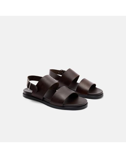 Scarosso Brown Antonio Moro for men