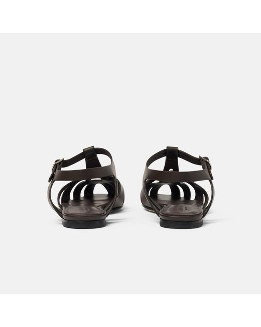 Scarosso Black Gala Dark