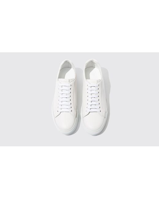 Scarosso White Ugo Bianco Sneakers for men
