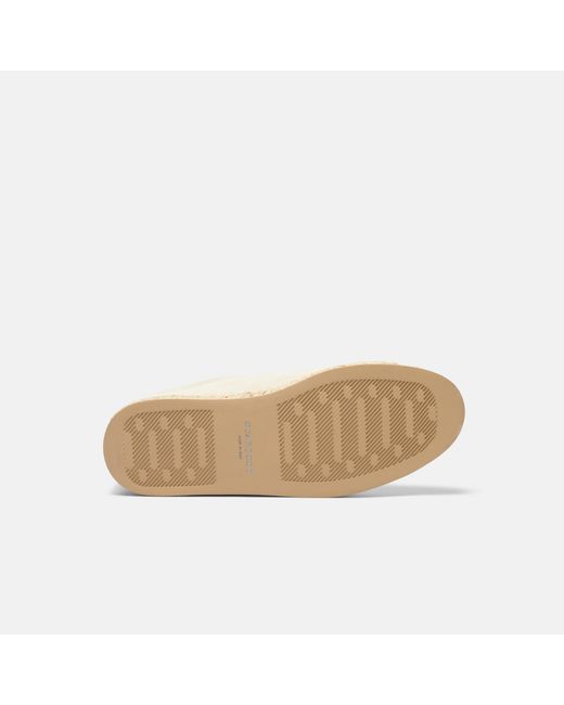 Scarosso Natural Thiago Ivory Suede for men