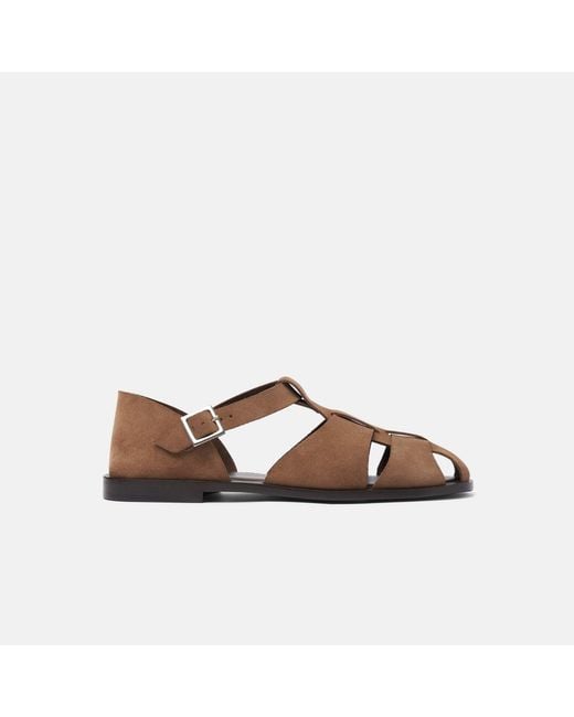 Scarosso Brown Apollo Taupe Suede for men
