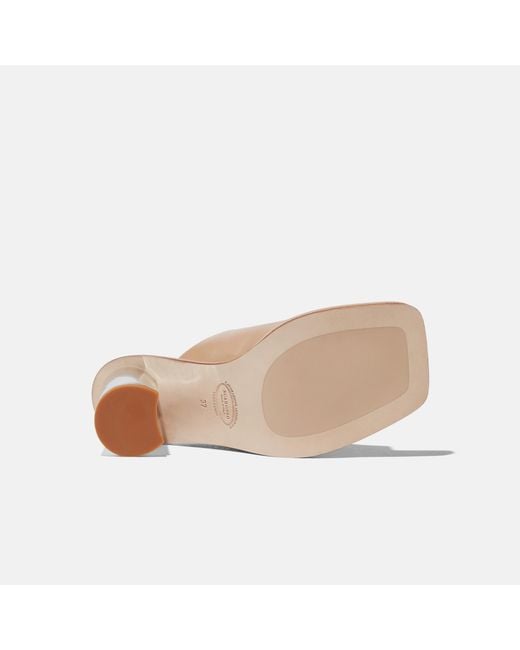 Scarosso Black Gwen Nude Heels