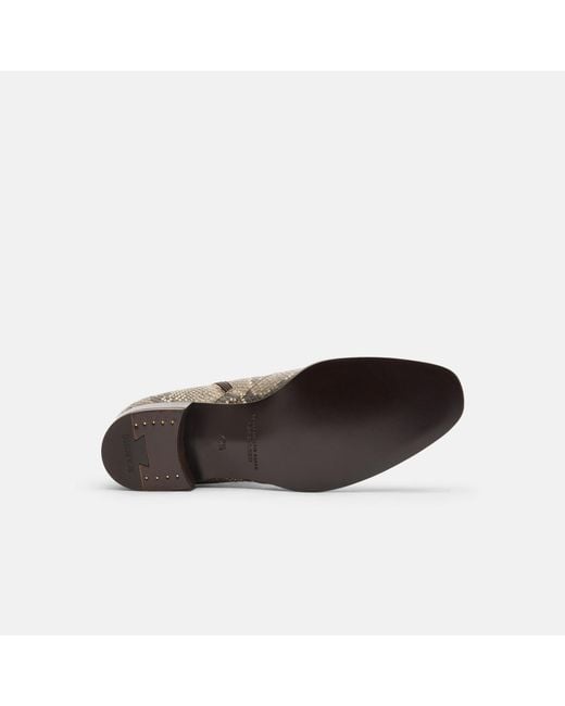 Scarosso Brown Warren Python for men