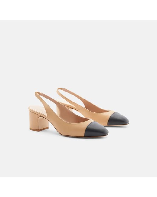 Scarosso Black Miranda Nude Edit Pumps