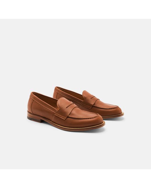 Scarosso Brown Harper Cognac Loafers