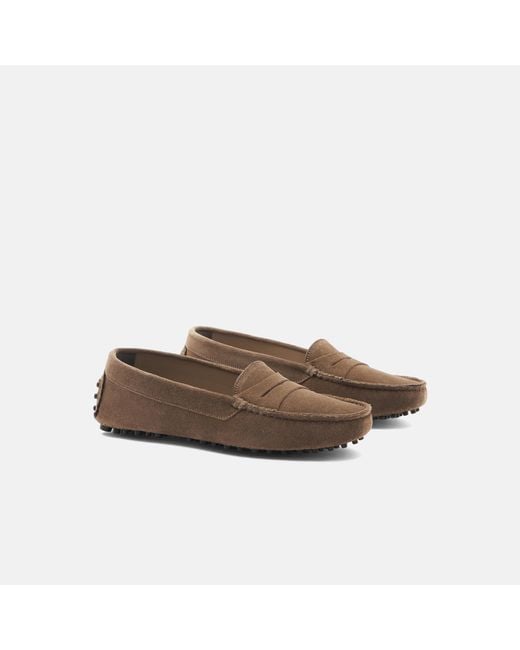 Scarosso Brown Ashley Taupe Suede Driving Shoes