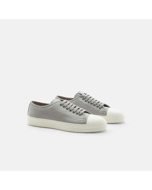 Scarosso Black Ambrogio Grey Sneakers for men