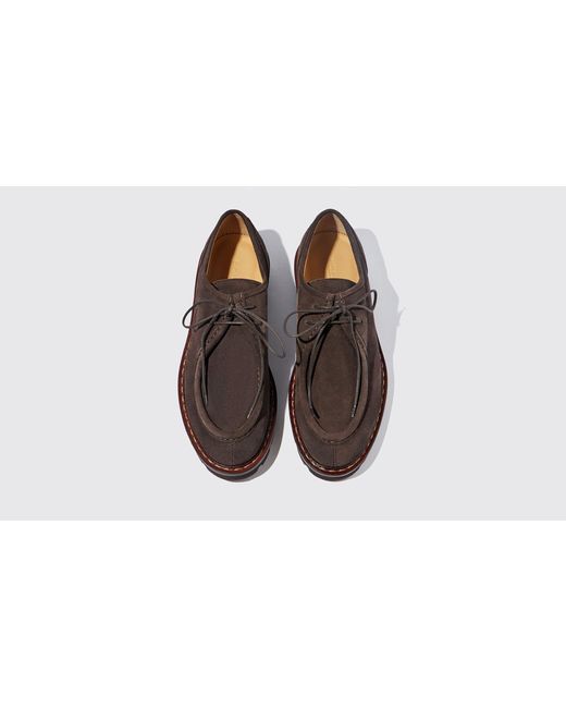Scarosso Black Damiano Brown Suede Loafers & Flats for men