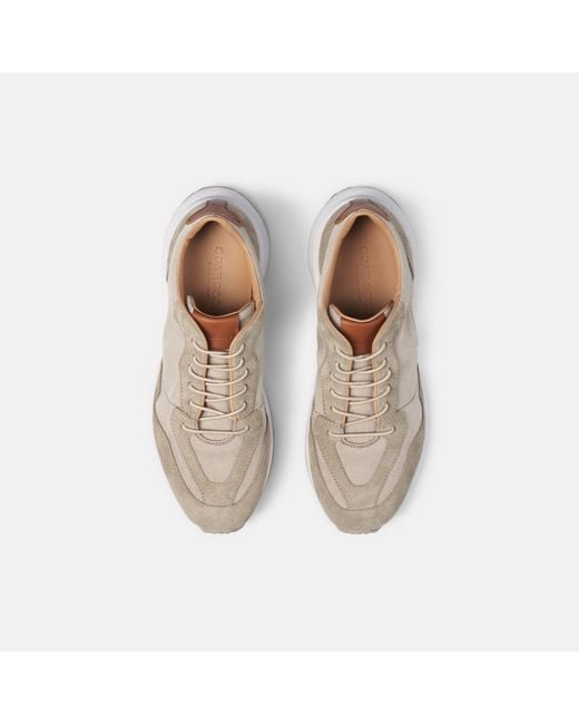 Scarosso Multicolor Achille for men