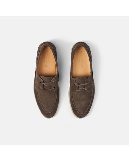 Scarosso Lio Deep Taupe Veloursleder in Brown für Herren