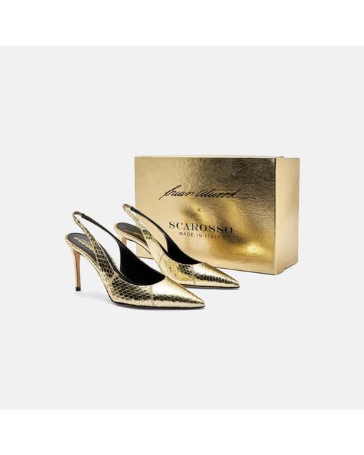 Scarosso White Sutton Elaphe