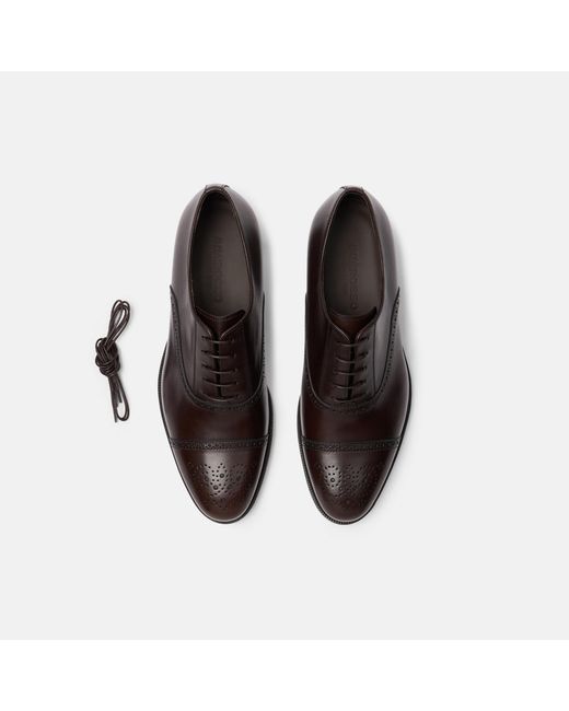Scarosso Brown Silvio for men