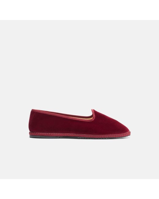 Scarosso Multicolor Bordeaux Velluto for men